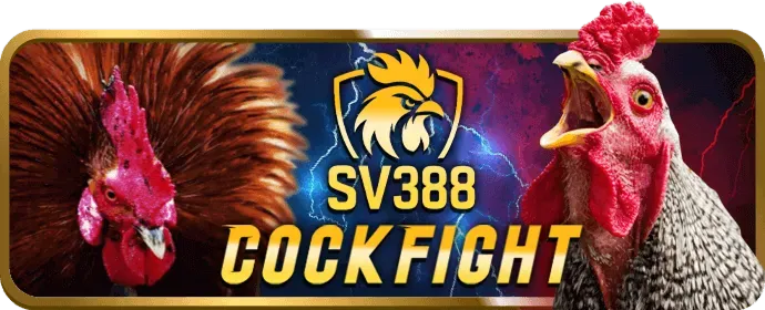 Lịch sử và thành tựu của God66
